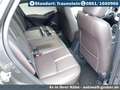 Mazda CX-3 Edition 100+Navi+Leder+Memory+Klima+LED Grau - thumbnail 11