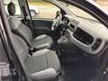 Fiat Panda City Plus Zwart - thumbnail 10
