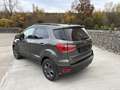 Ford EcoSport Ecosport 1.0 EcoBoost FWD ST Line Gris - thumbnail 5