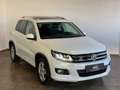 Volkswagen Tiguan 2.0 TDI BMT DSG 4Motion | R-Line | ALLRAD | PANO Weiß - thumbnail 1