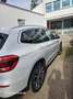 BMW X3 X3 xDrive30d Aut.xLine Weiß - thumbnail 2
