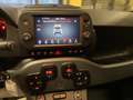 Fiat Panda Cross 1.0 firefly hybrid Cross Rosso - thumbnail 13