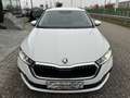 Skoda Octavia Combi 2,0 TDI Ambition/*150PS*/STHZ/RFK/ACC/SHZ... Weiß - thumbnail 10