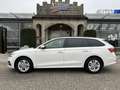 Skoda Octavia Combi 2,0 TDI Ambition/*150PS*/STHZ/RFK/ACC/SHZ... Weiß - thumbnail 5