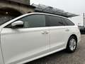 Skoda Octavia Combi 2,0 TDI Ambition/*150PS*/STHZ/RFK/ACC/SHZ... Weiß - thumbnail 13