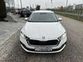 Skoda Octavia Combi 2,0 TDI Ambition/*150PS*/STHZ/RFK/ACC/SHZ... Weiß - thumbnail 3