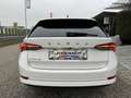 Skoda Octavia Combi 2,0 TDI Ambition/*150PS*/STHZ/RFK/ACC/SHZ... Weiß - thumbnail 14