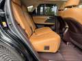 Lexus RX 450h /Panorama/Kamera Schwarz - thumbnail 26