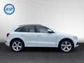 Audi Q5 2.0 TDI DSG 4x4 S line Xenon LEDER NAVI PANO White - thumbnail 5