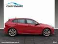 BMW 135 M135i xDrive Hatch Sportpaket Head-Up HK HiFi Rojo - thumbnail 6