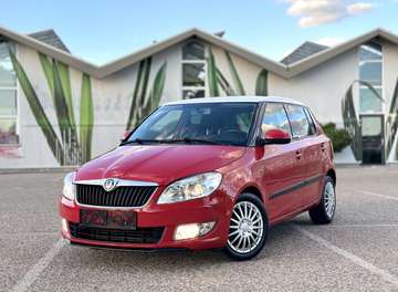 1.6 TDI NEUES PICKERL Monte Carlo