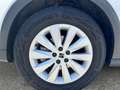 SEAT Arona Austria Edition 1.0 TSI Weiß - thumbnail 14