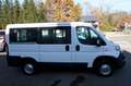 Fiat Ducato Kombi Diesel 9-Sitze Bianco - thumbnail 3
