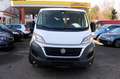 Fiat Ducato Kombi Diesel 9-Sitze Blanc - thumbnail 2
