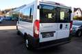 Fiat Ducato Kombi Diesel 9-Sitze Blanc - thumbnail 6