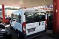 Fiat Ducato Kombi Diesel 9-Sitze Blanc - thumbnail 5