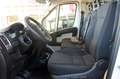 Fiat Ducato Kombi Diesel 9-Sitze Blanc - thumbnail 8