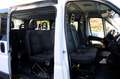 Fiat Ducato Kombi Diesel 9-Sitze Bianco - thumbnail 8