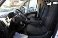Fiat Ducato Kombi Diesel 9-Sitze Blanc - thumbnail 10