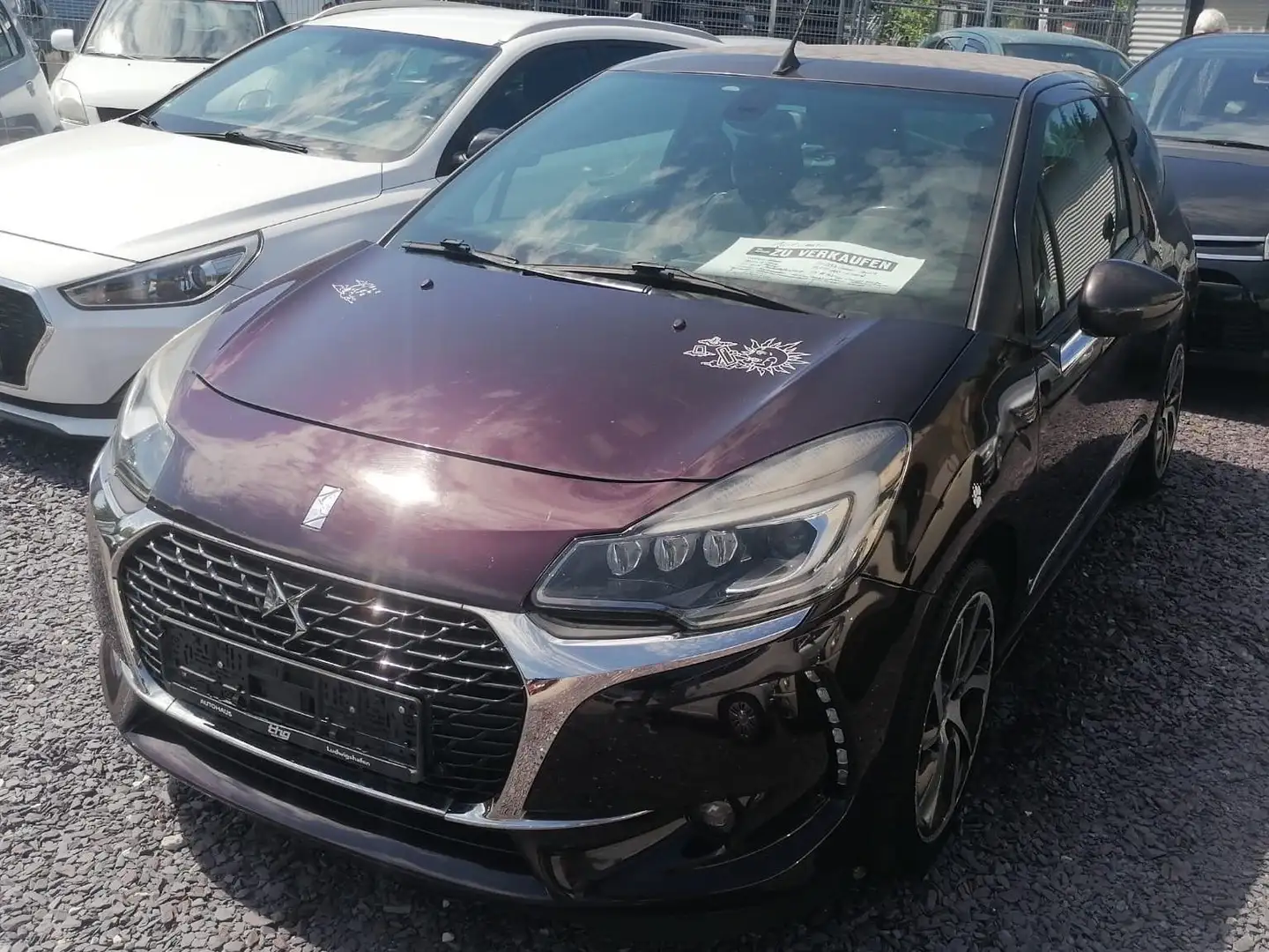 Citroen DS3 Cabrio Automatik 110 Stop Braun - 2