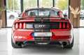 Ford Mustang GT  5.0 SHELBY GT500 PREMIUM KAMERA TOP Červená - thumbnail 7