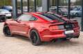Ford Mustang GT  5.0 SHELBY GT500 PREMIUM KAMERA TOP Červená - thumbnail 14
