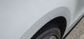 Volkswagen Golf Cabriolet Golf Cabrio 2.0 TDI  EURO 5F Alb - thumbnail 12