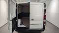 Nissan Primastar KW dCi 110 6MT Acenta L2H1 Weiß - thumbnail 4