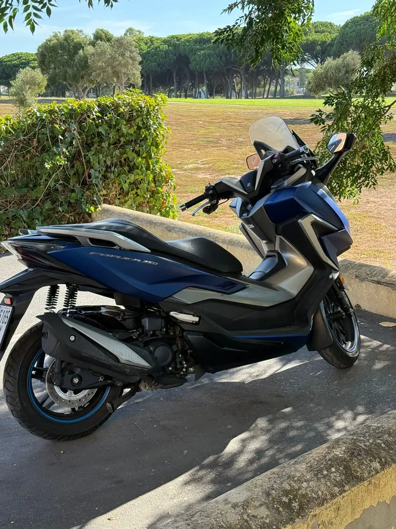 Honda Forza 350 Синий - 1