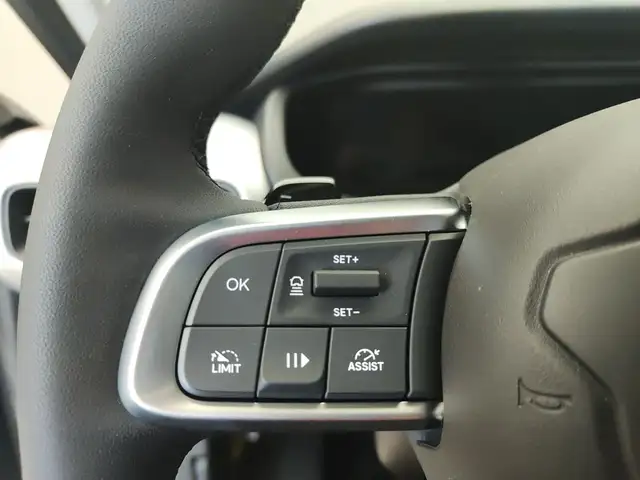 Jeep Avenger view 11