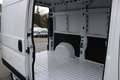 Fiat Ducato MAXI L2H2 140 10Zoll Navi Schwingsitz Ka... Weiß - thumbnail 18