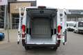 Fiat Ducato MAXI L2H2 140 10Zoll Navi Schwingsitz Ka... Weiß - thumbnail 11