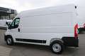 Fiat Ducato MAXI L2H2 140 10Zoll Navi Schwingsitz Ka... Weiß - thumbnail 8