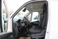 Fiat Ducato MAXI L2H2 140 10Zoll Navi Schwingsitz Ka... Weiß - thumbnail 19
