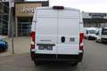 Fiat Ducato MAXI L2H2 140 10Zoll Navi Schwingsitz Ka... Weiß - thumbnail 9