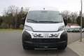 Fiat Ducato MAXI L2H2 140 10Zoll Navi Schwingsitz Ka... Weiß - thumbnail 5
