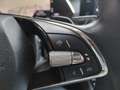 Skoda Octavia 2.0 TDI * EZ-2024* DSG *AHK, ACC, Kamera, Ambiente Blau - thumbnail 24