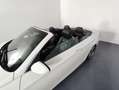BMW 330 i cat Cabrio Msport Bianco - thumbnail 7