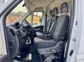 Fiat Ducato 33 MH2 2.3 mjt 140cv E6d-temp - thumbnail 3