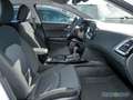 Kia Ceed SW / cee'd SW 1.0T 100 ULTIMATE Navi Tempomat Weiß - thumbnail 4