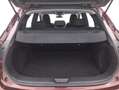 Nissan Qashqai MHEV Business 1.3 Mild Hybrid 140CV Rosso - thumbnail 14