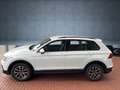 Volkswagen Tiguan 2.0 TDI DSG Life Navi LED AHK ACC Белый - thumbnail 3