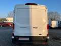 Ford Transit L3H2 T350 2.0 TDCI ECOBLUE 130ch TVA RÉCUPÉRABLE Weiß - thumbnail 9