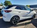 Opel Grandland Ultimate 1.5 D Matrix-LED Sitzklima Navi Bianco - thumbnail 29