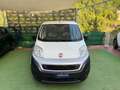 Fiat Fiorino Fiorino 1.3 MJT 95CV Cargo SX Bianco - thumbnail 2