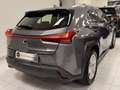 Lexus UX 200 UX 250h 2.0 F-Sport 2wd cvt Grau - thumbnail 6