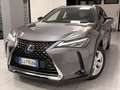 Lexus UX 200 UX 250h 2.0 F-Sport 2wd cvt Grau - thumbnail 2