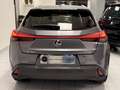Lexus UX 200 UX 250h 2.0 F-Sport 2wd cvt Grau - thumbnail 5