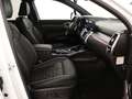 Kia Sorento 1.6 T-GDI Hybrid Executive Line | Panoramadak | He Wit - thumbnail 26