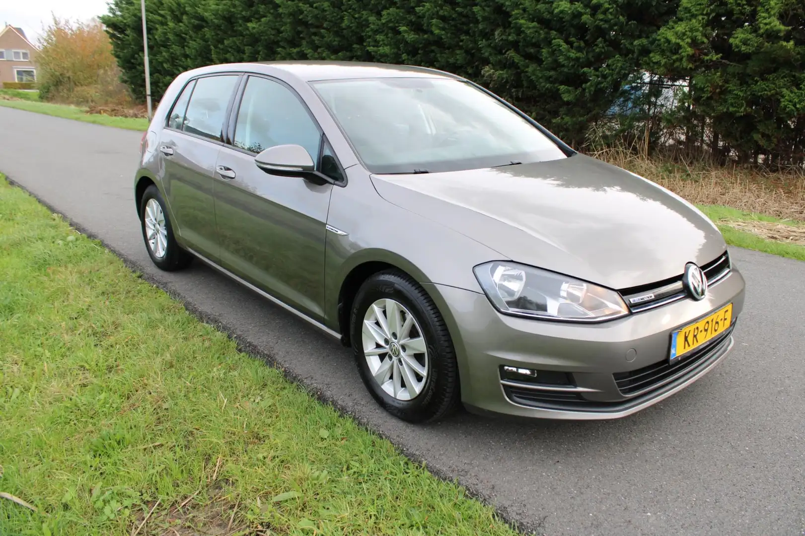 Volkswagen Golf 1.0 TSI Edition 5 Drs Grijs - 2